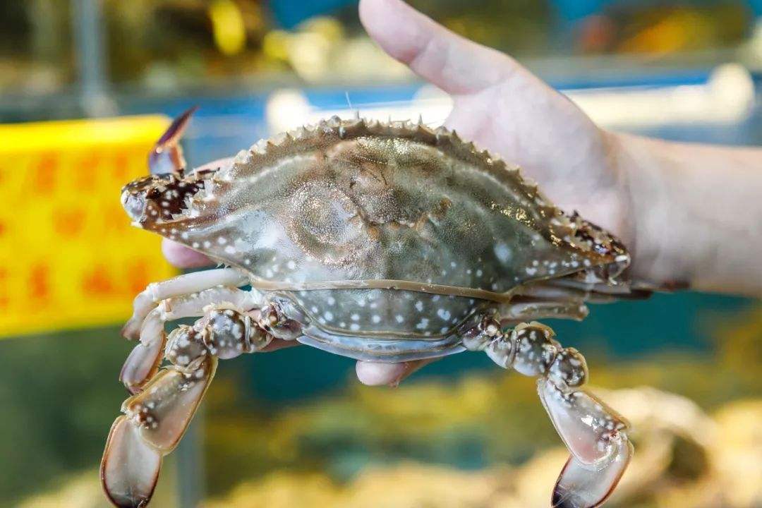 海南海鲜市场套路,卖海鲜的套路和技巧