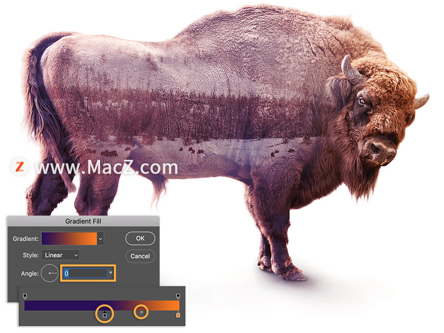 ps如何制作双重曝光的照片,ps中怎么创建选区