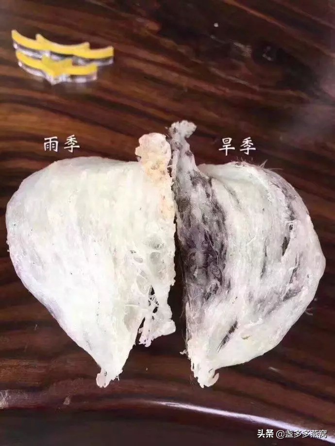 燕窝专业知识之燕窝的商品规格,燕窝知识科普燕窝是什么味道