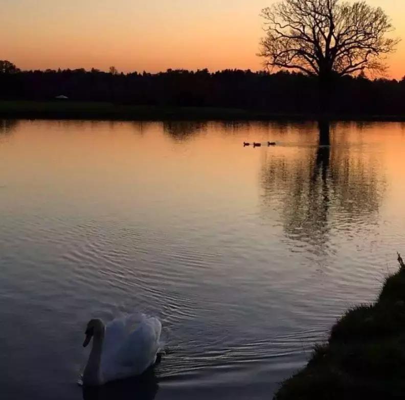 顶级奢华100亩中式庄园,顶级富豪的私人豪宅庄园