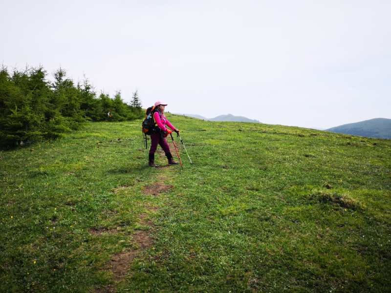 五台山之行让我们终身难忘,五台山之行完整视频