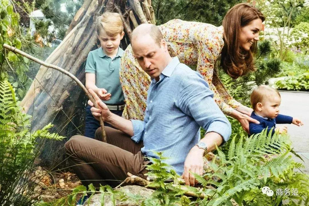 梅根王妃婴儿车,梅根为什么要付出代价