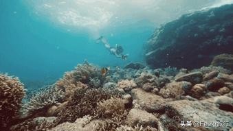 最不想分享的小众海岛,小众海岛旅行