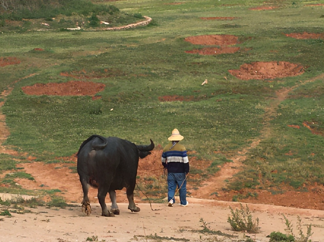 探访石林彝族第一村五棵树村,石林彝族第一村攻略