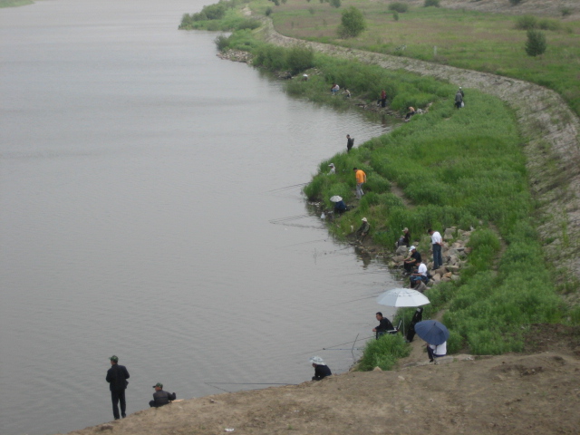 我钓鱼时常遇到的那位高手老黄，钓法出其不意，鱼获总是很多……