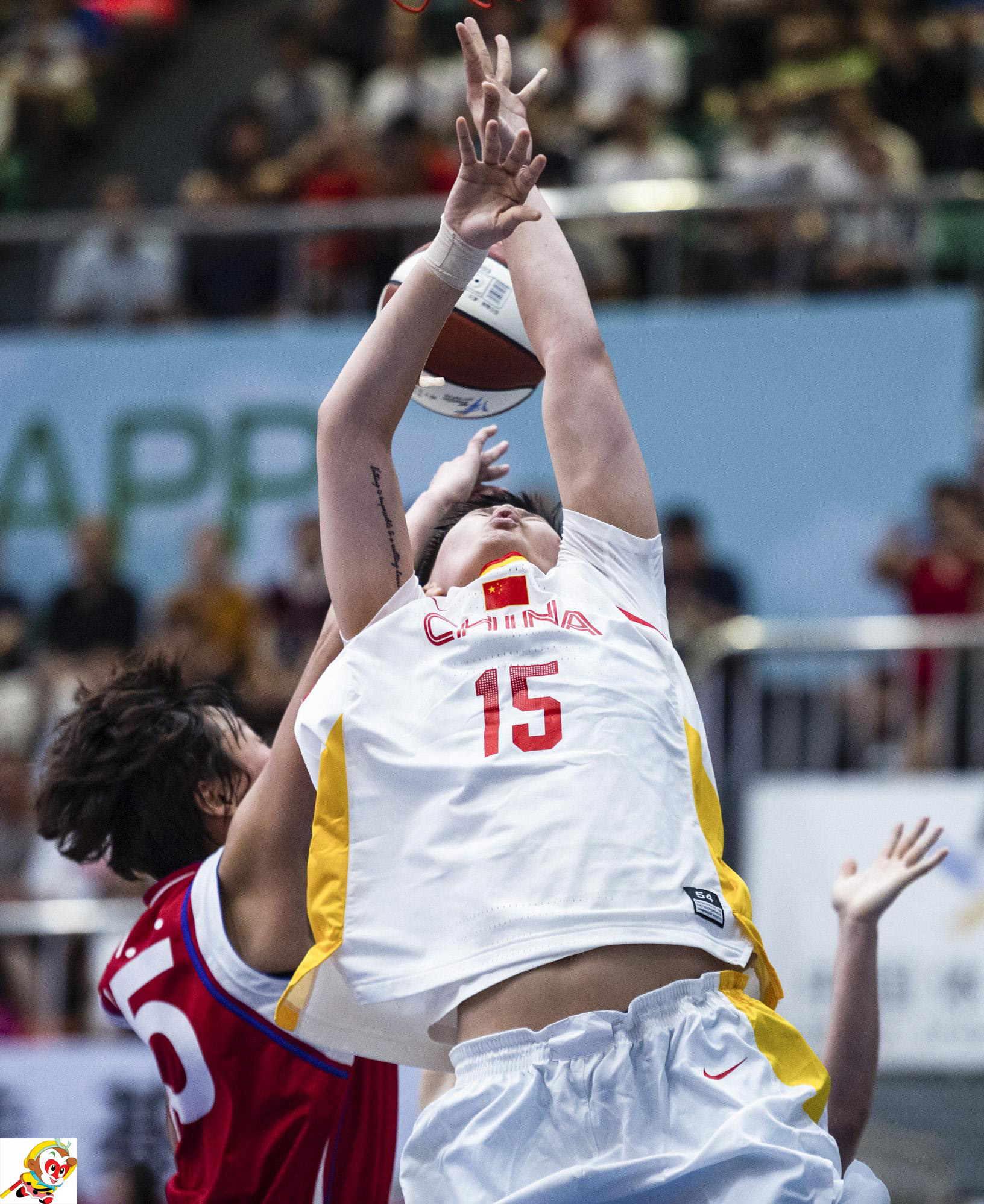 wcba推荐,wcba最新推荐