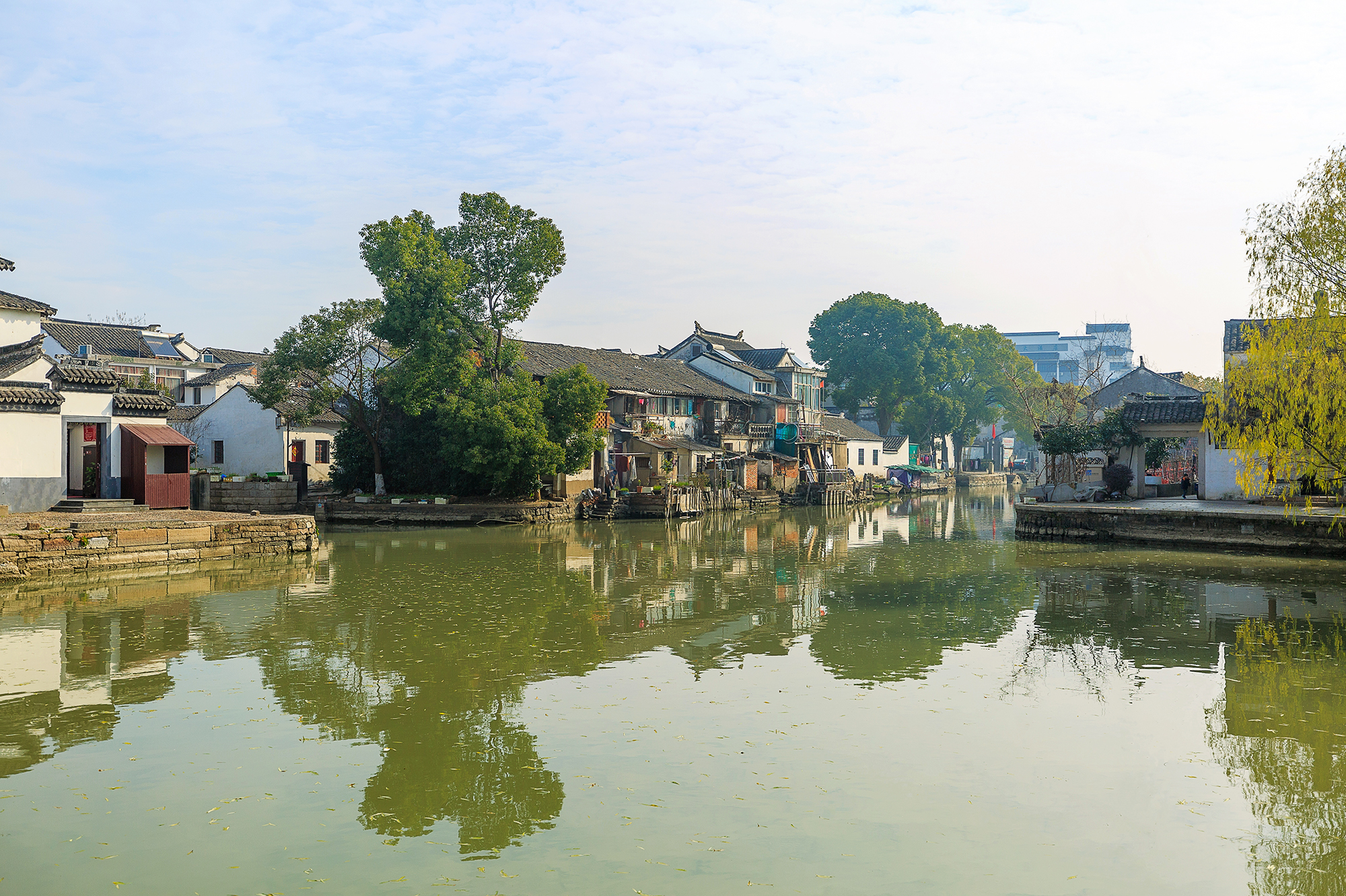 愿为人间客，世世在江南，不如来同里