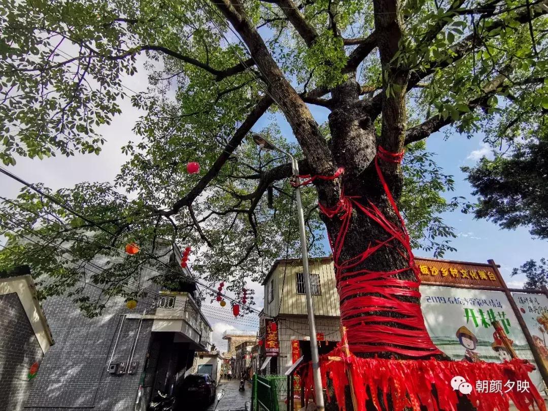 江门新会石板沙攻略,广东江门石板沙旅游景点