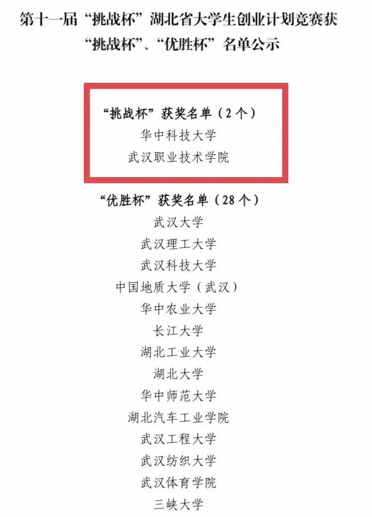 武汉职业技术学院挑战杯奖励标准,2023武汉职业技术学院挑战杯