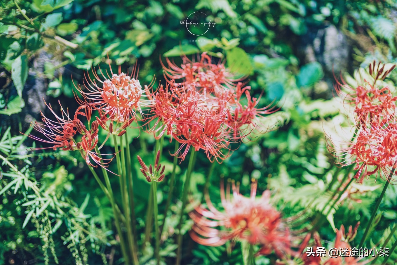 贵州的世外桃源景区,贵州被忽视的秘境