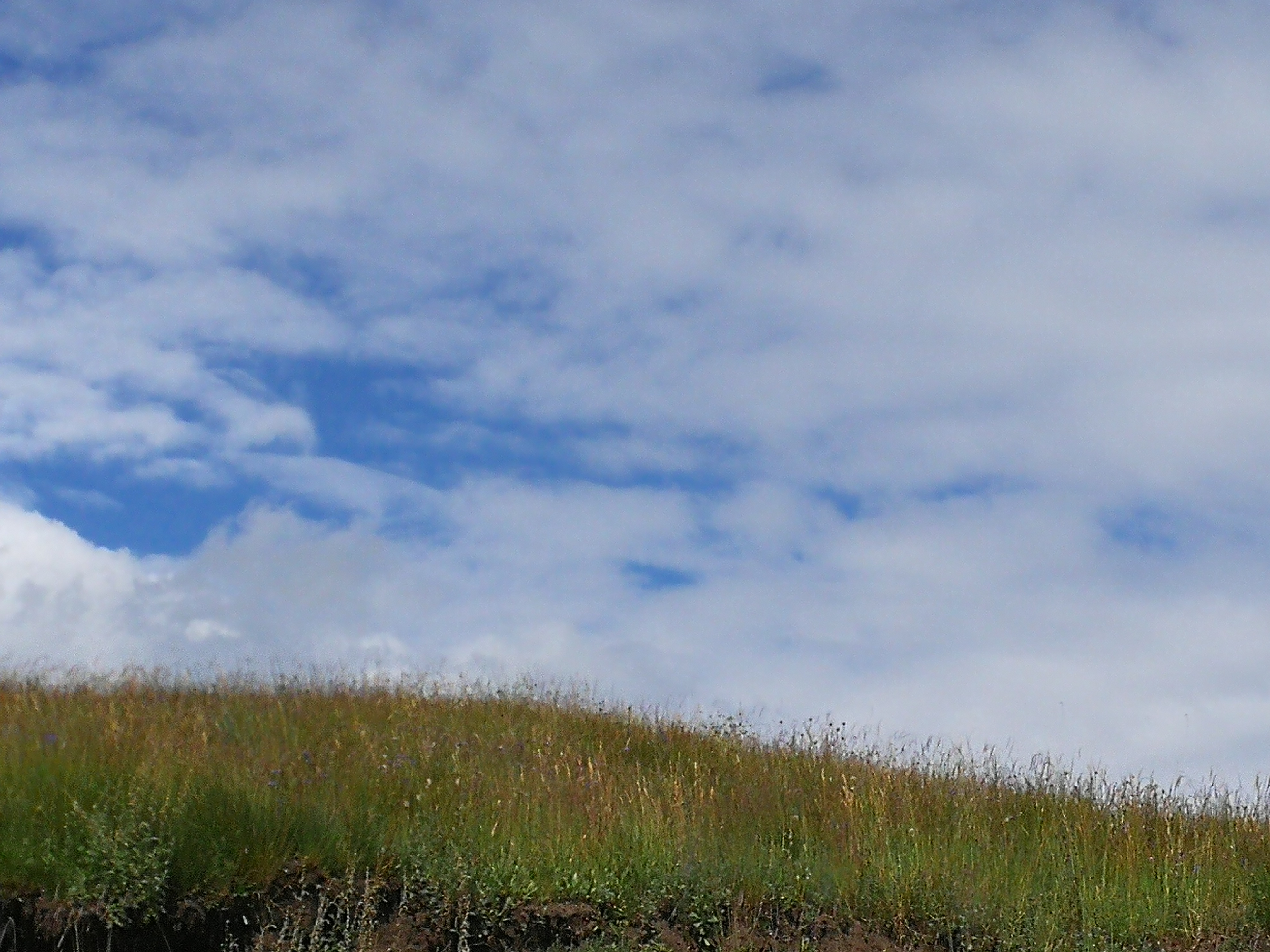 如果银行信用卡逾期不协商怎么办,信用卡三个月没还款会有什么后果