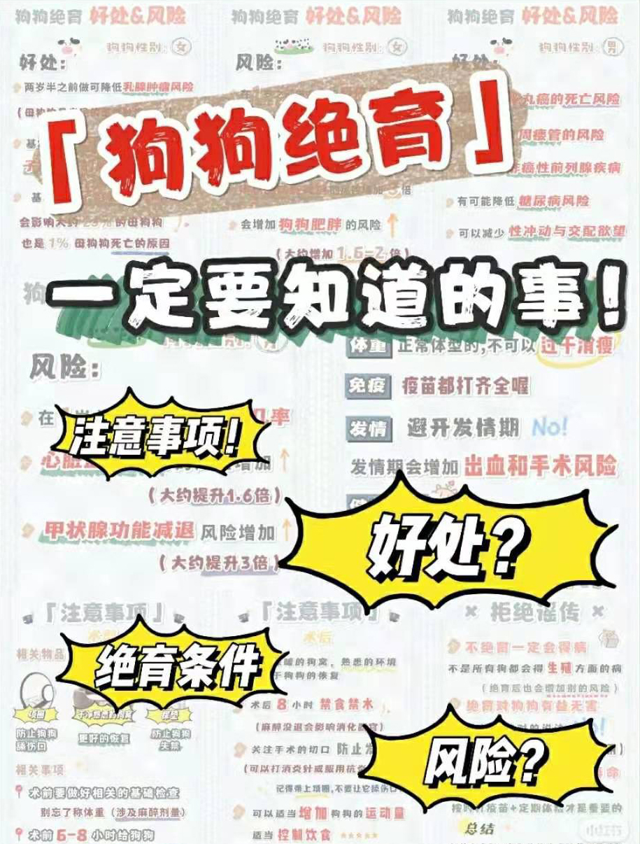 狗狗做了绝育手术性格会变吗,给狗狗做绝育手术需要多少钱