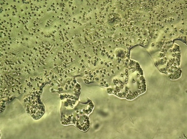 微藻的生物应用前景与展望,微藻产业化关键技术有哪些