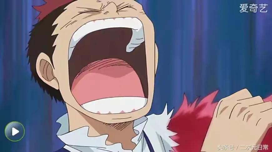 海贼王机械甲,海贼王里特殊的武器