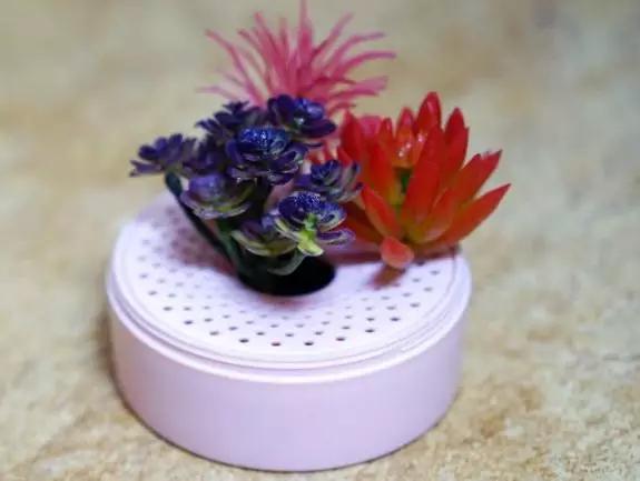 日本除甲醛豆子,日本甲醛清除剂真的有效吗