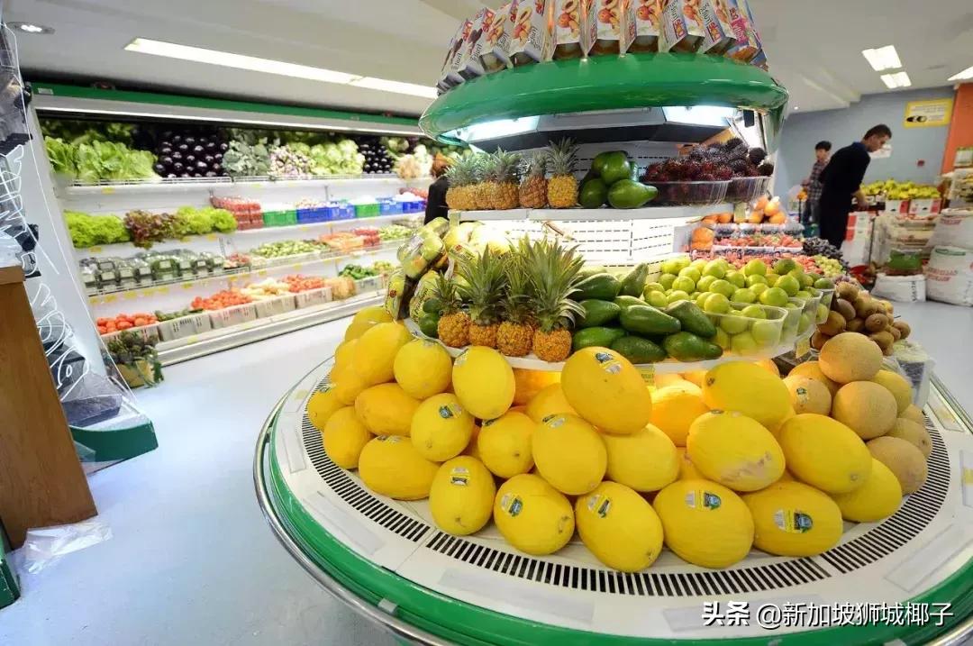 新加坡的生活知识,新加坡必备知识