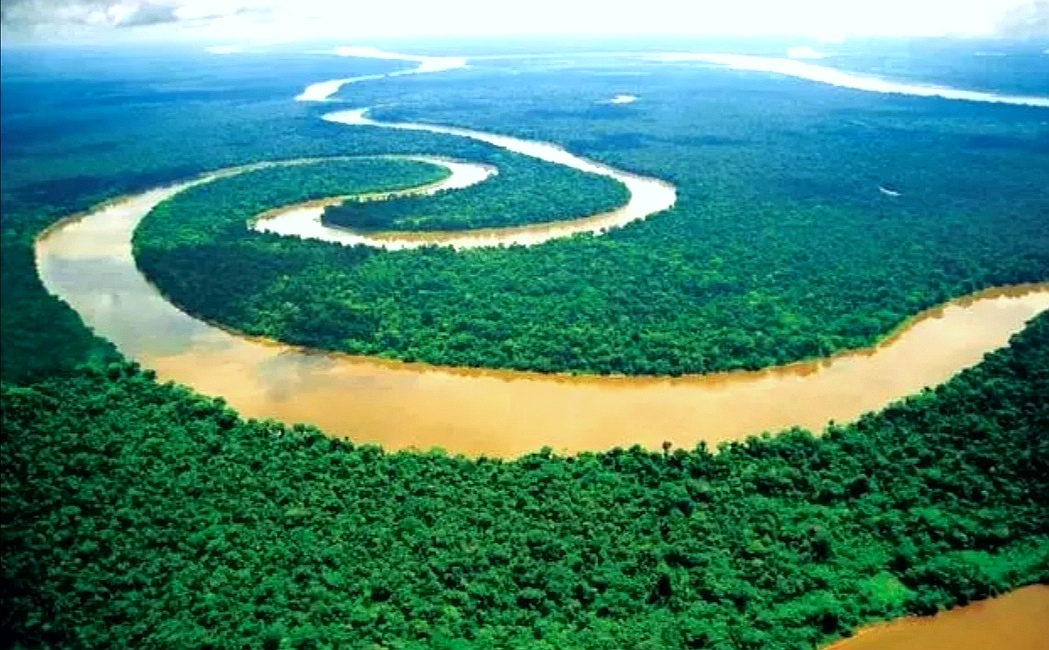 亚马逊魔鬼鱼,亚马逊食人鱼魔鬼鱼