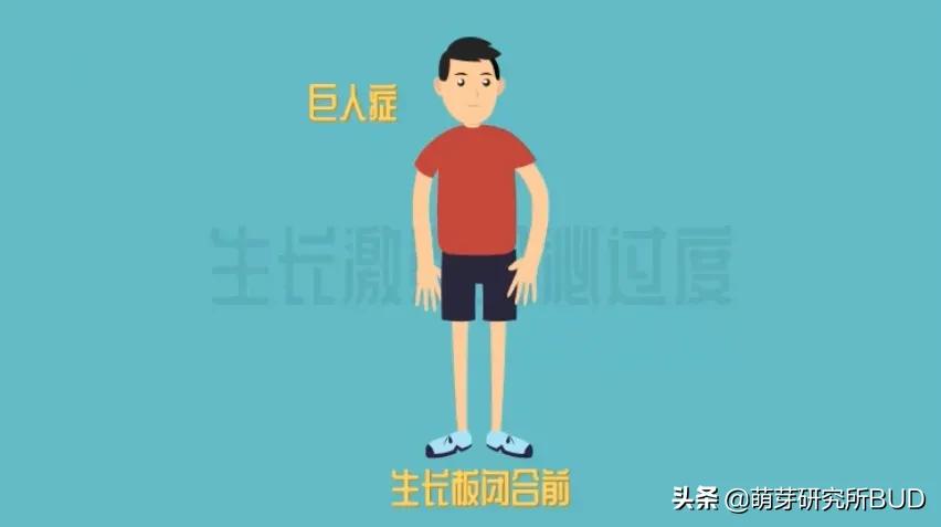 八个月宝宝不长高是发育迟缓吗,儿童身高发育迟缓吃什么能长高