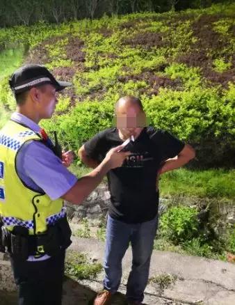 桂林一晚查获38只醉猫”，这种行为等于谋杀！