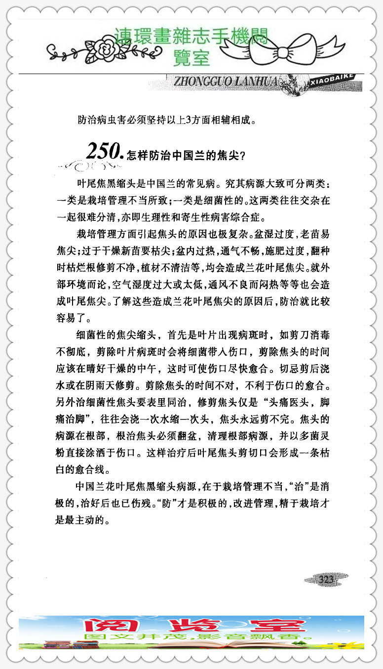 中国兰花品种大全书,中国兰花品种名录图片