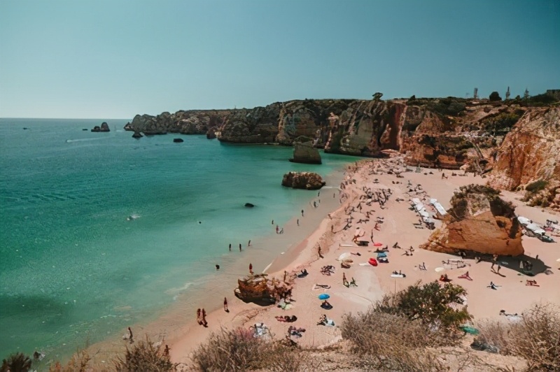 为什么乐普医疗股票严重下跌,乐普医疗最新深度分析