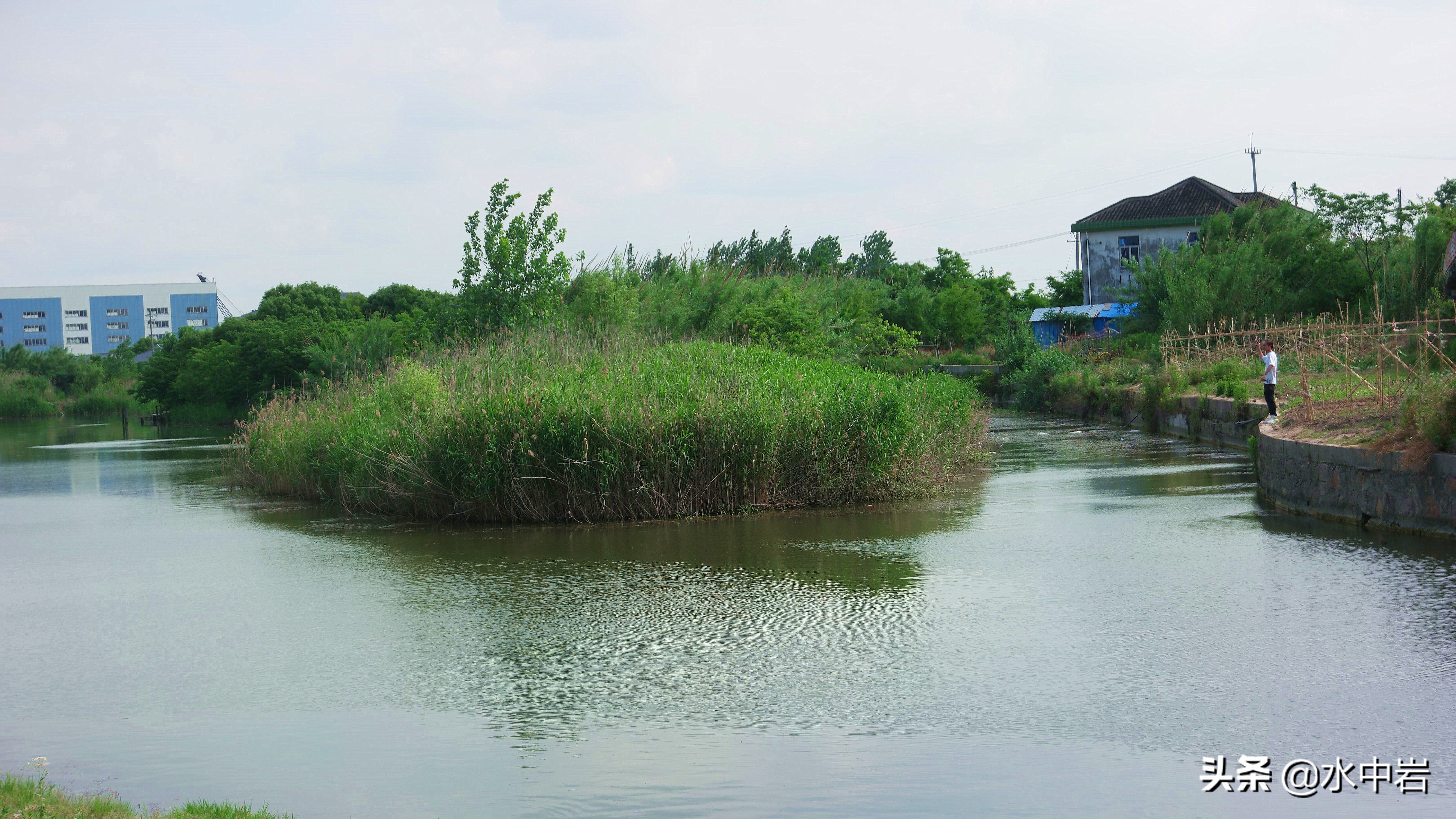 长江流域发生了几次大型洪涝灾害,江苏历史上遭遇的洪水