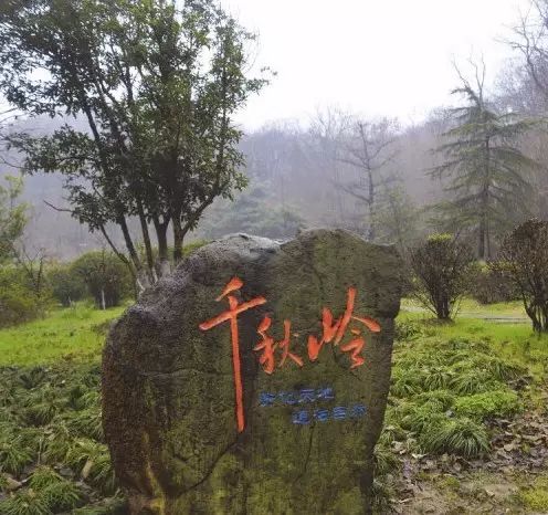 收藏，临安诗词大会来啦