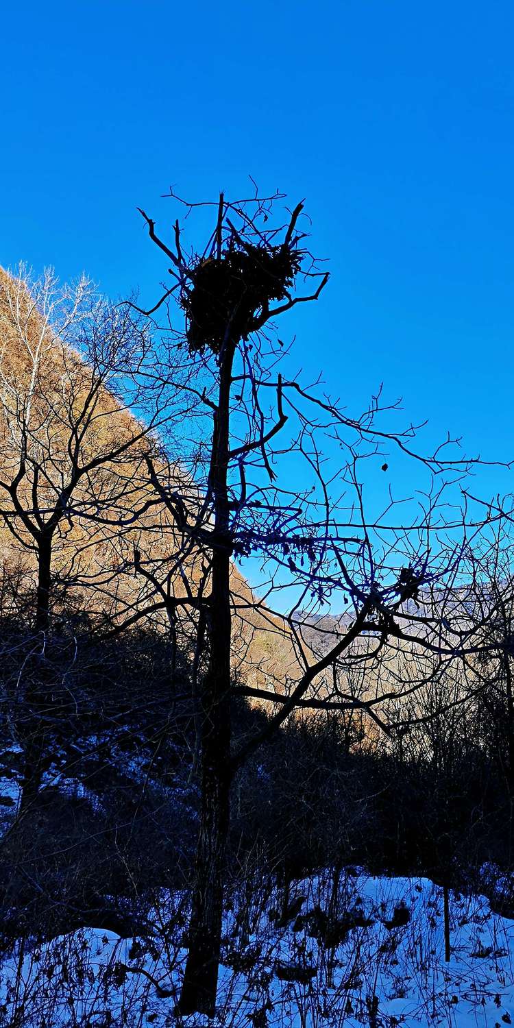 20210117独行太兴山，误入佛国秘境花石湾