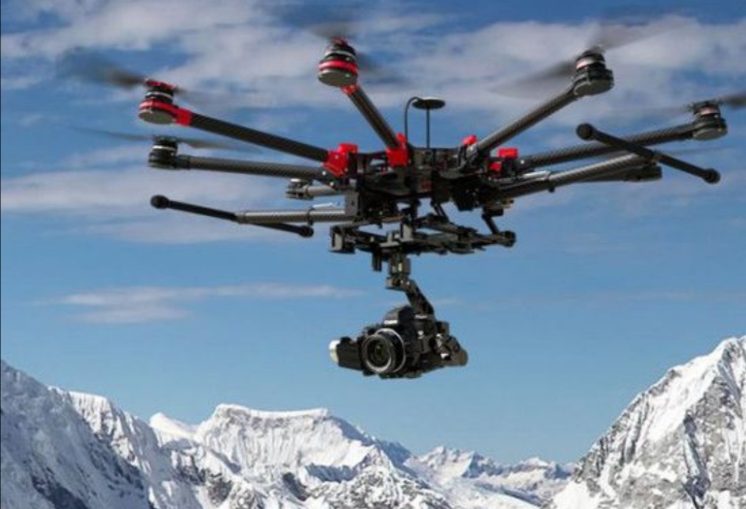 打不死的小强有虫吗,打不死的小强