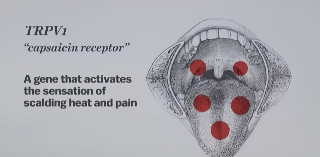 有多少外地人倒在西南的痔疮医院里？