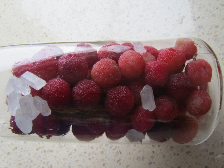 杨梅酒怎么泡出来好看又好喝,怎么泡的杨梅酒才好喝