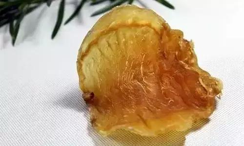 赤嘴鳘鱼胶,赤嘴鳘公鱼胶图片