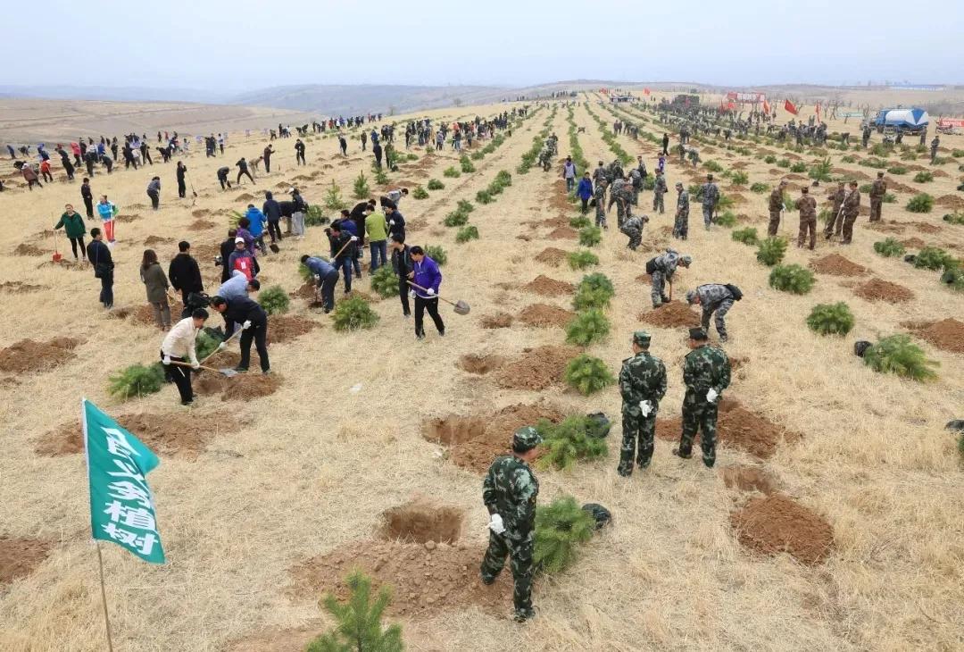 有一种绿绿绿绿绿绿绿，叫赤峰的林