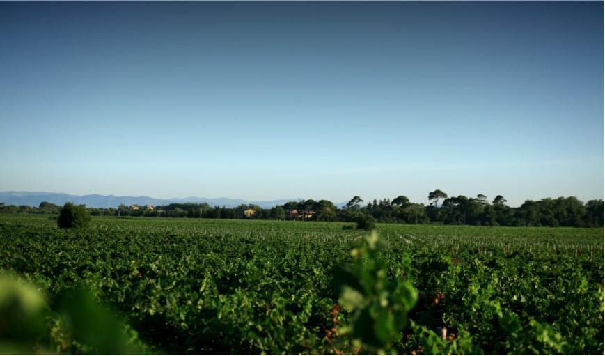 法国维克多代表作,法国维克多的代表作品有哪些