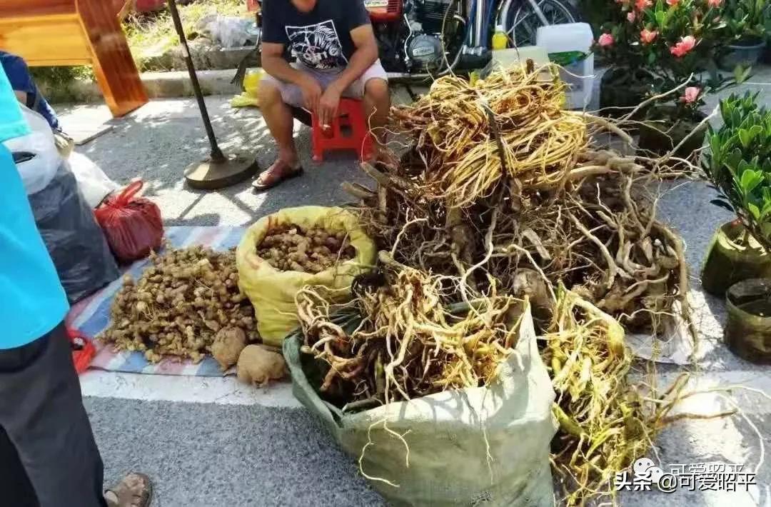 记住乡愁容县篇,记住乡愁视频美食