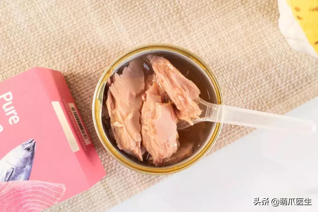 猫咪天天跑去喂鱼,猫咪不吃东西喝汤能喝饱吗