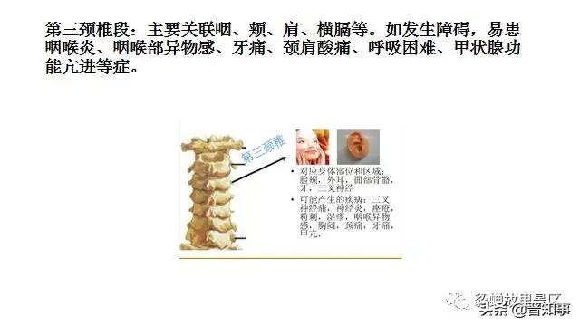 忻州薛氏正骨,忻州古城傅山苑