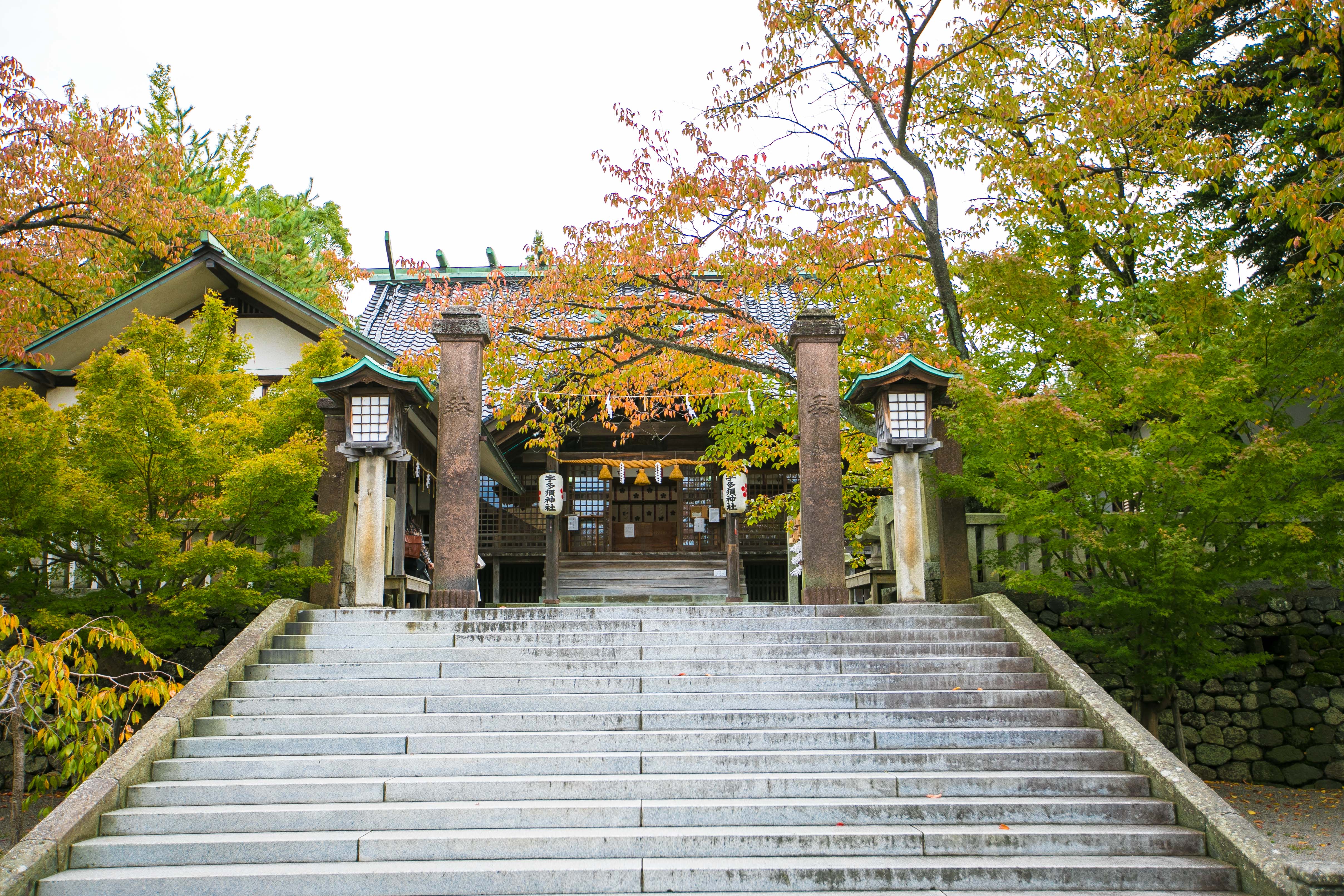 日本金泽在日本的什么地方,金泽的金箔