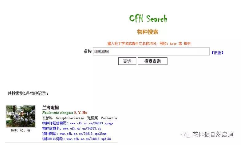 植物检索网站官网,植物检索表100种