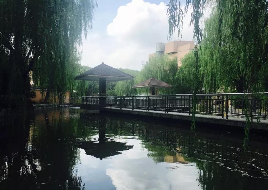 七宝中学综评率,百强高中名单上海七宝