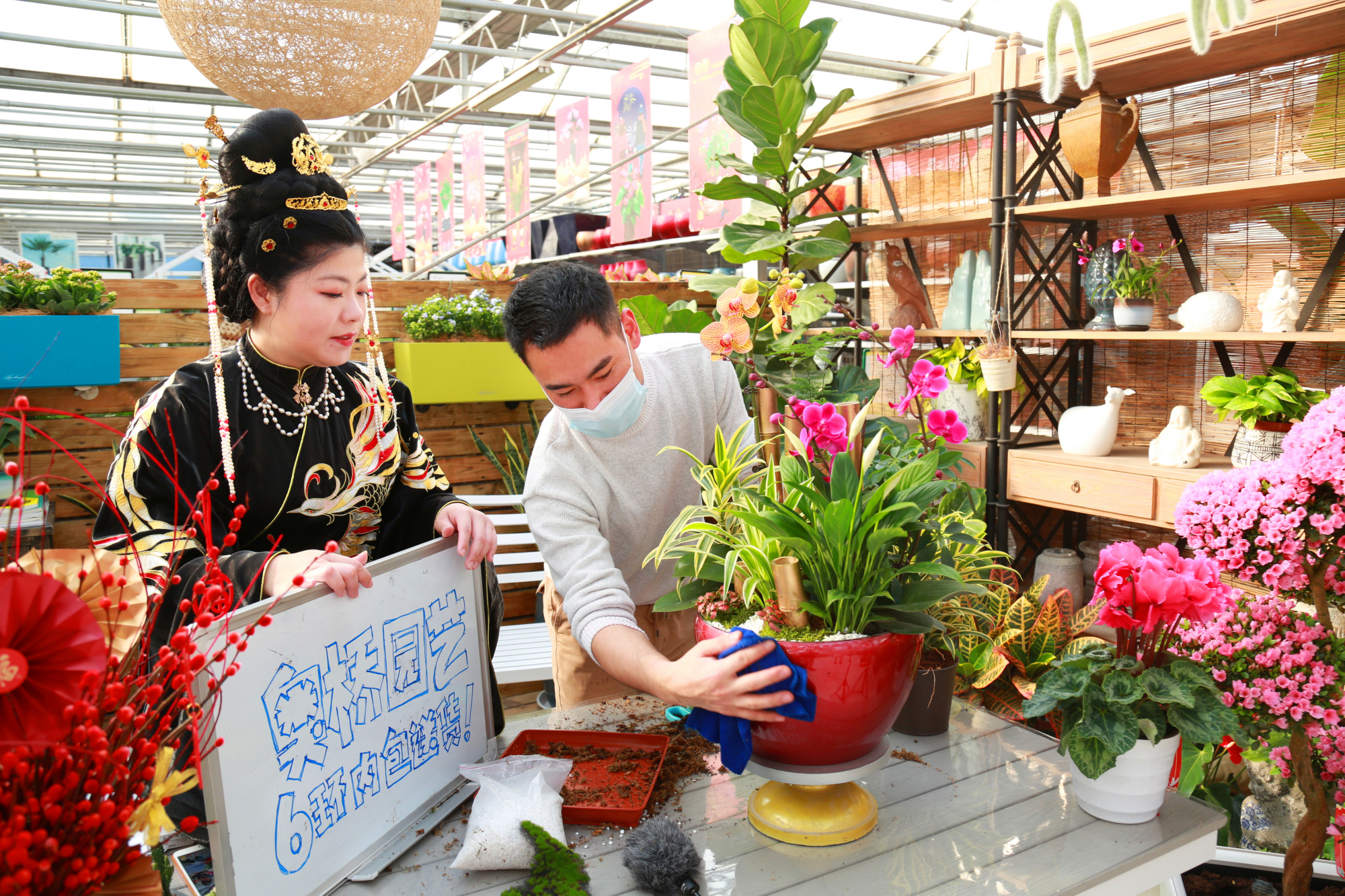 买年花添年味丰台花乡花木集团打出线上线下销售组合拳