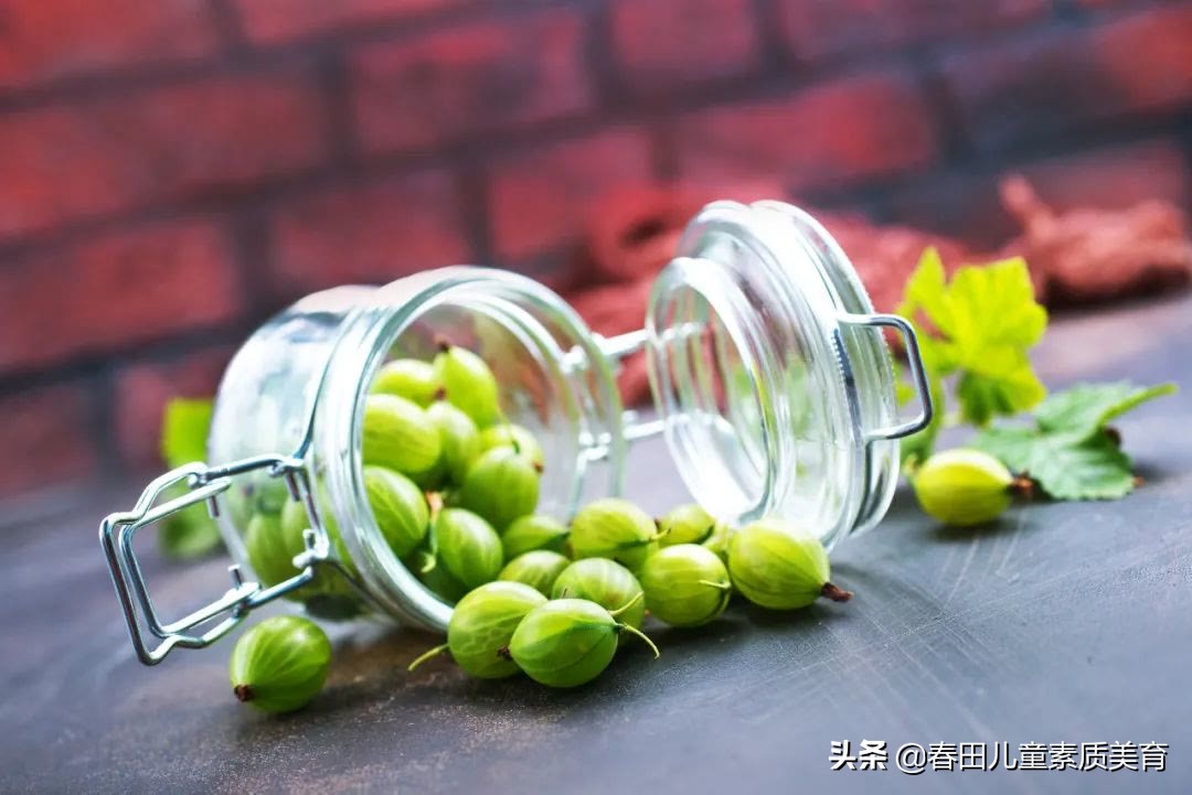 教程|适用于三年级以上—少儿美术课程《灯笼果》