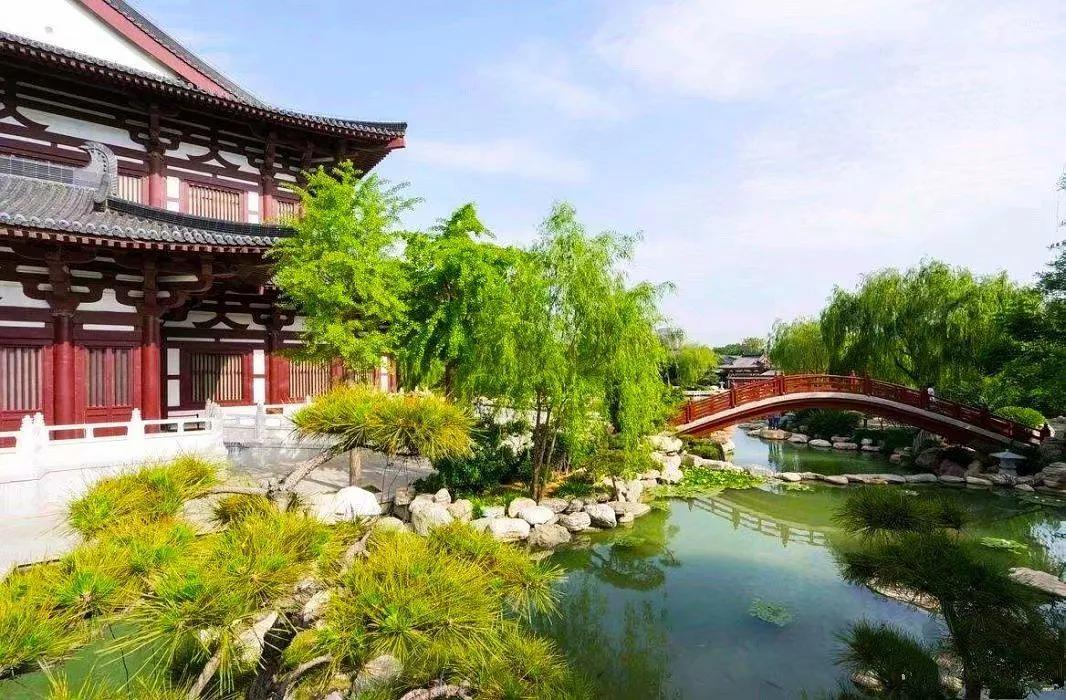 妃子笑，笑看长安