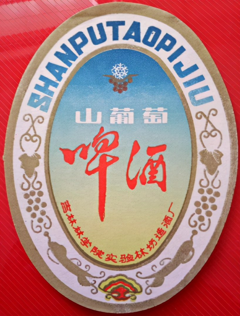 东三省之二的吉林省各地本土啤酒盘点！从吉A到吉K，91种啤酒大PK