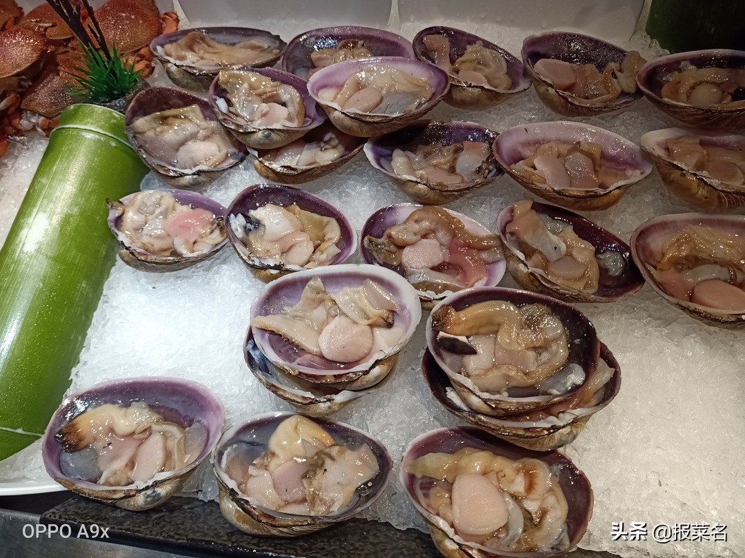 螃蟹虾扇贝,海鲜自助螃蟹和大扇贝