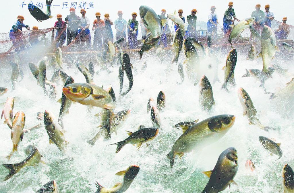 浙江有哪些奇特的景观,浙江有哪些珍稀花草