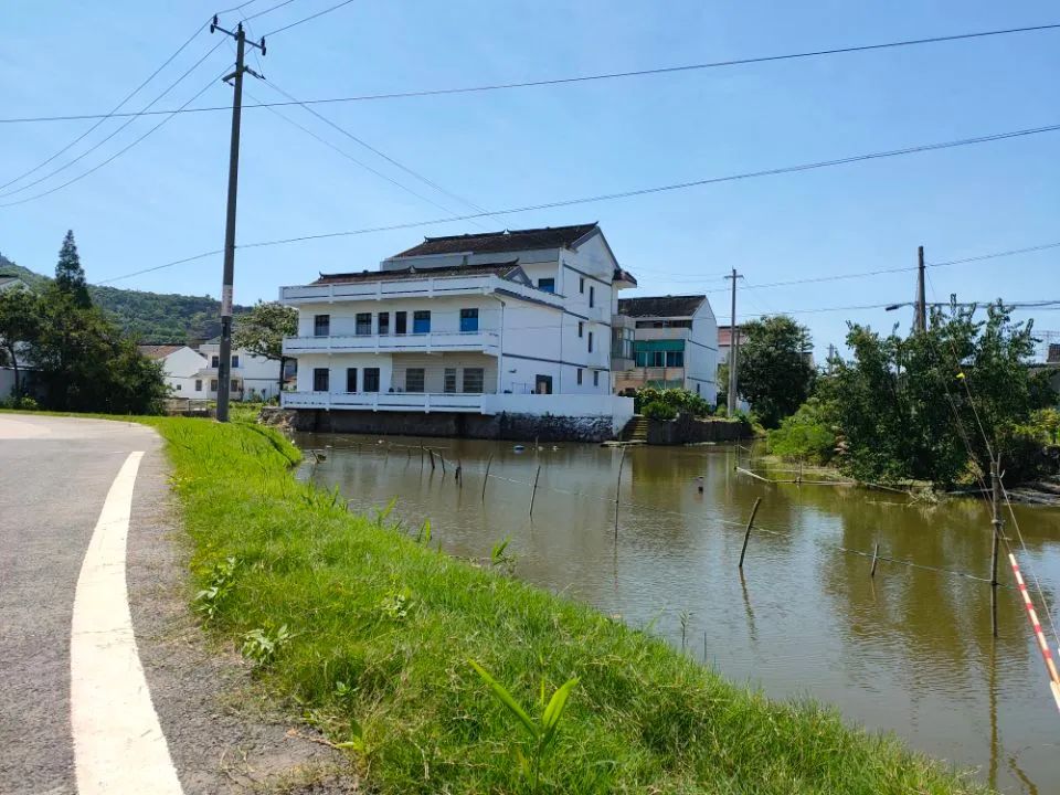 江阴新桥最美庭院,江苏江阴阳台风景