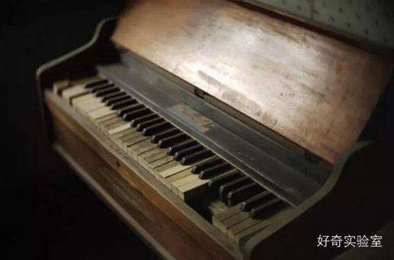 乐器店怎么经营,实木乐器防潮吗