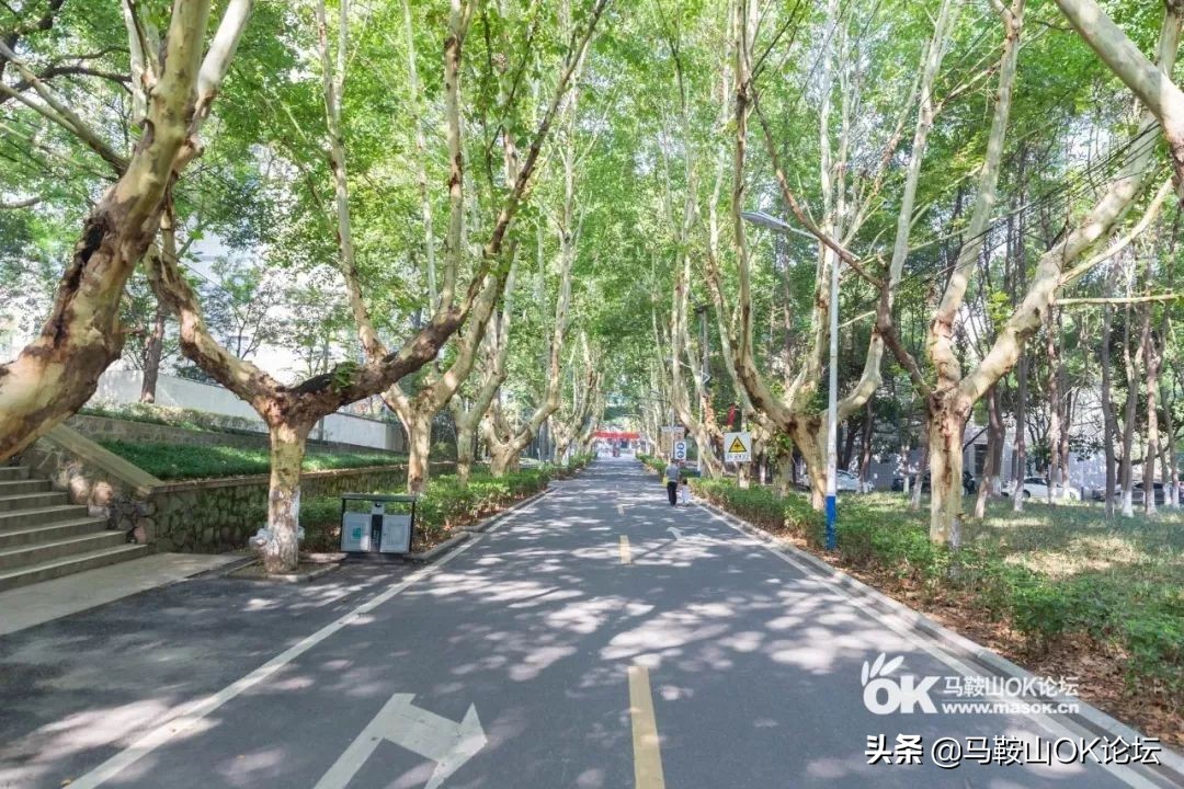 马鞍山适合散步的公园,马鞍山散步的地方