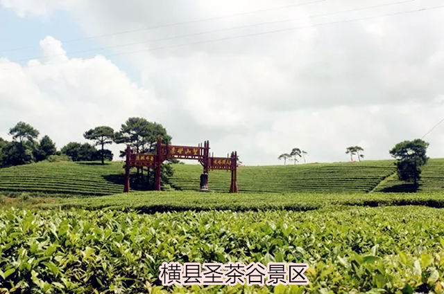 爱如潮涌真情奉献,爱如潮涌普通话版